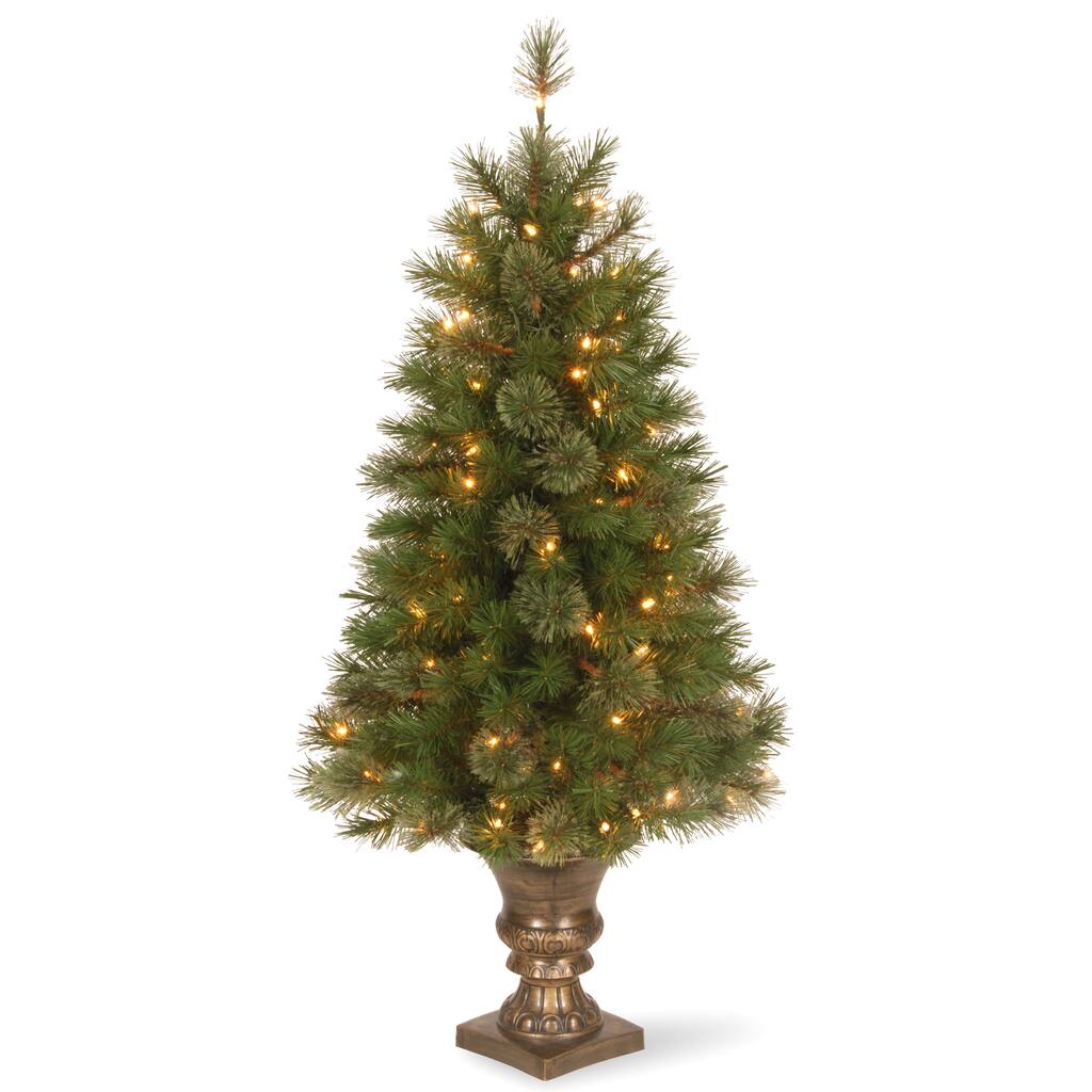 National Tree Company 4 ft. Atlanta Spruce Entrance Tree with Clear Lights - 4 Foot