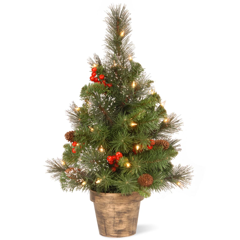 National Tree Company 2 ft. Crestwood Spruce Tree with Clear Lights - 2 ft