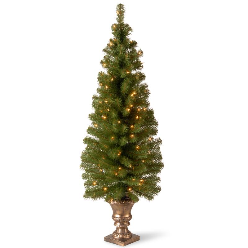 National Tree Company 5 ft. Montclair Spruce Entrance Tree with Clear Lights