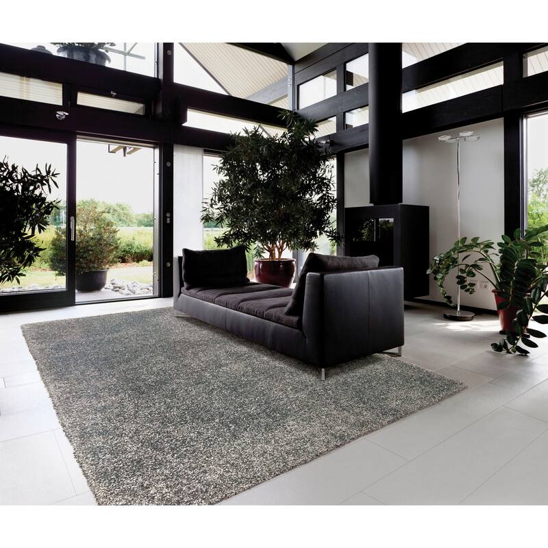 Nourison Amore Shag Area Rug