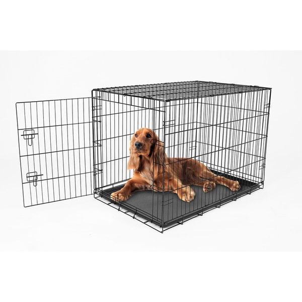 medium metal dog crate
