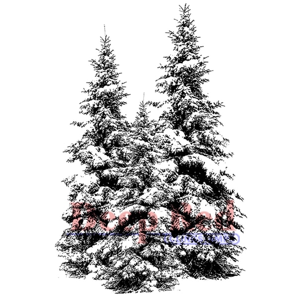 Winter Pines Deep Red 2 x 3-inch Rubber Cling Stamp