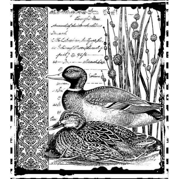 Crafty Individuals Unmounted Rubber Stamp 4.75"X7" Pkg-Mallard Duck Pair