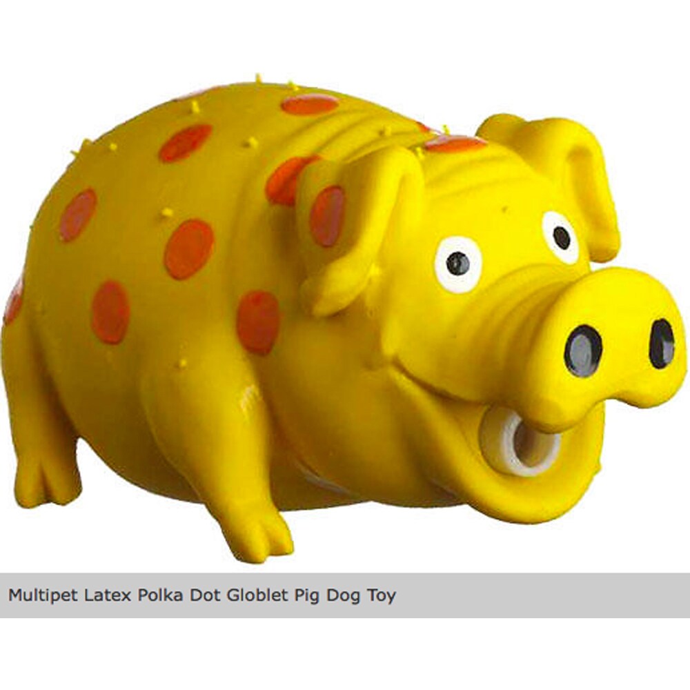 rubber pig dog toy