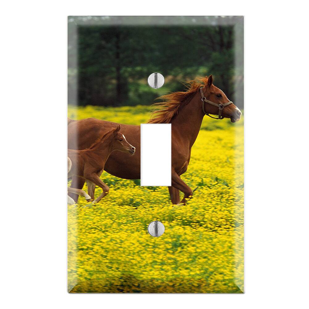 Baby Horse Running with Mom Decorative Wall Plate Cover