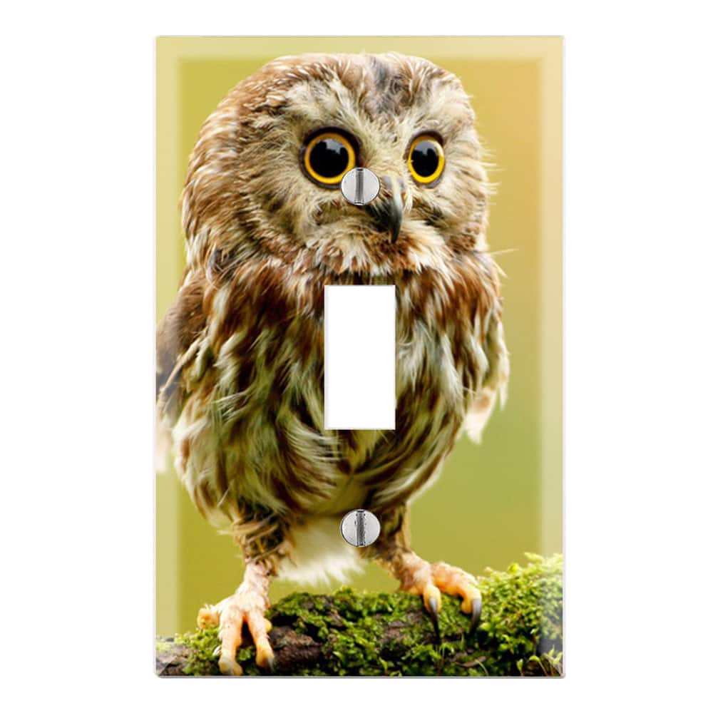 Baby Owl Decorative Wall Plate Cover
