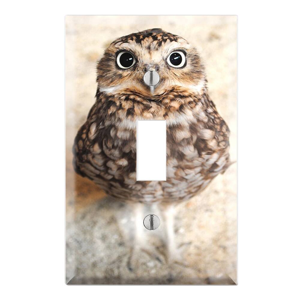 Cute Baby Owl Decorative Wall Plate Cover