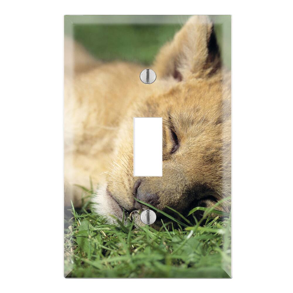 Sleeping Baby Lion Cub Decorative Wall Plate Cover