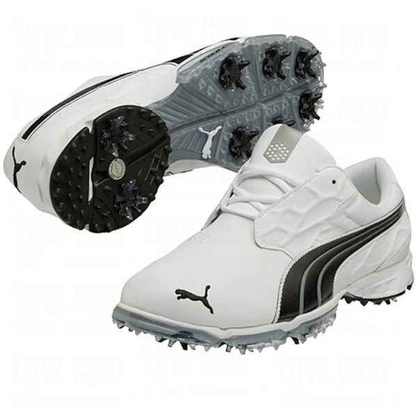 puma men's biofusion golf shoe