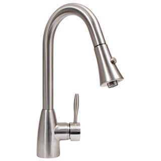 Dyconn Faucet Gila Brushed Nickel Pull Out Kitchen Faucet