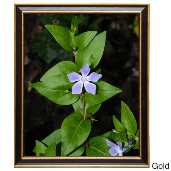 Olympic 16x20 Picture Frame
