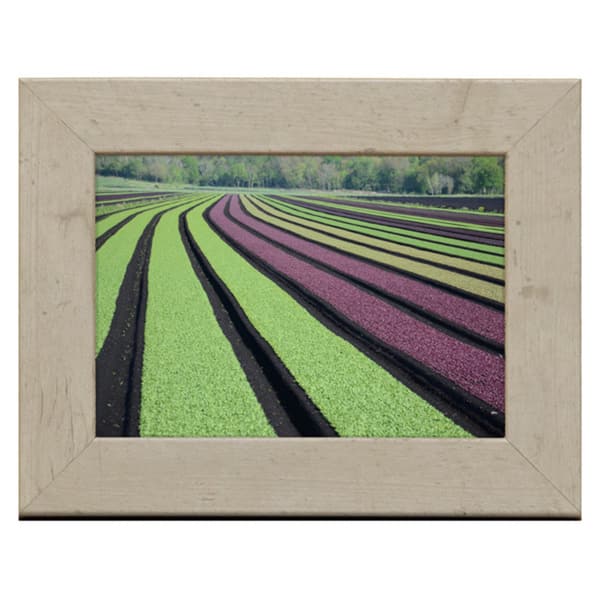 Rustic 5 x 7 Wood Picture Frame - Bed Bath & Beyond - 9514497