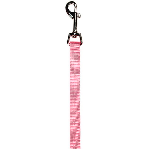 6 foot leash