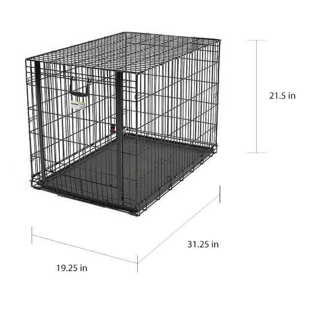 midwest ovation single door dog crate