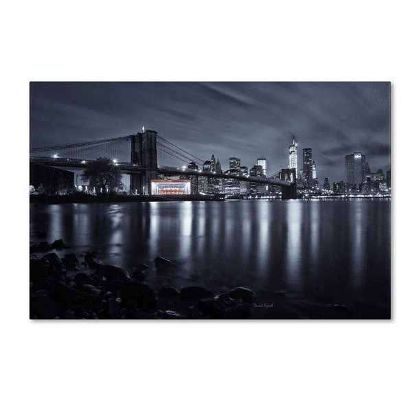 David Ayash Janes Carousel, Brooklyn Bridge Canvas Art