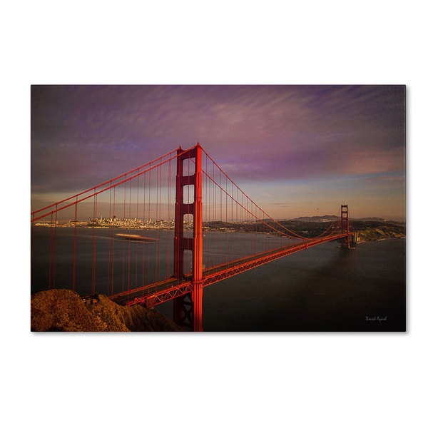 David Ayash 'Golden Gate Bridge' Canvas Art