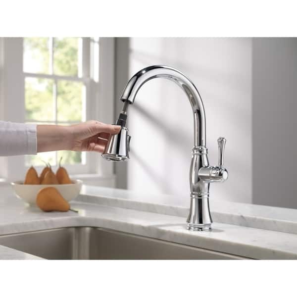 Shop Delta Cassidy Single Handle Pull Down Kitchen Faucet 9197 Dst