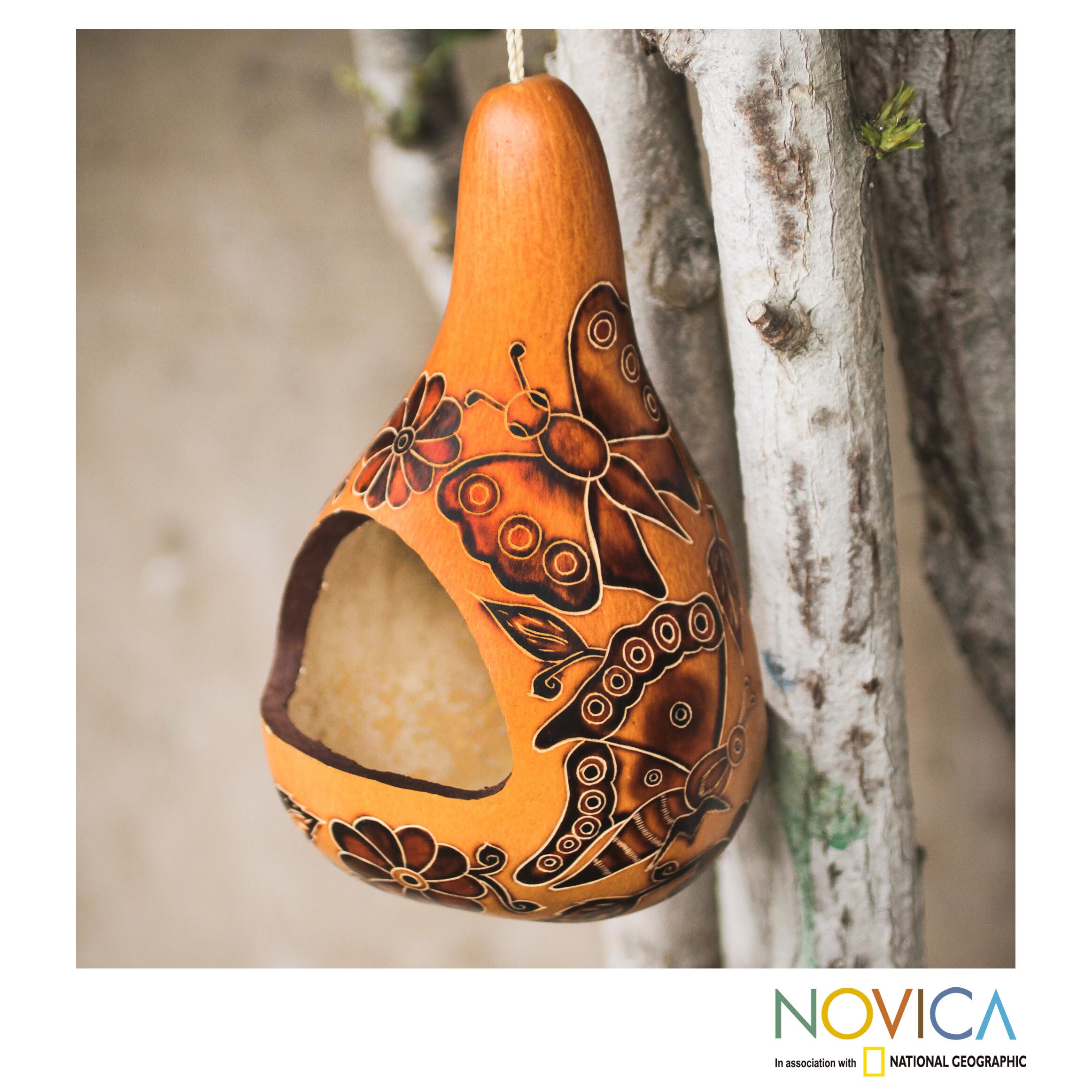 Shop Handcrafted Mate Gourd Butterfly Haven Bird Feeder Peru