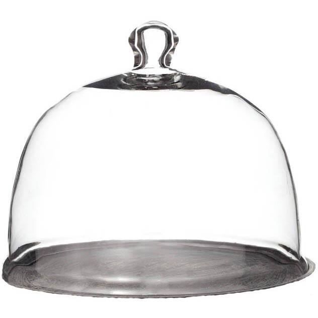 Sage & Co Clear Glass Dome Cloche (11 x 11)