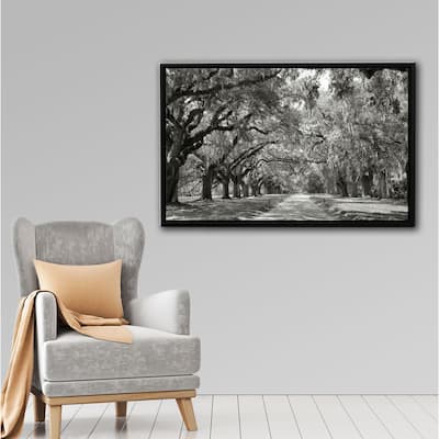 Steve Ainsworth 'Live Oak Avenue' Floater-framed Gallery-wrapped Canvas