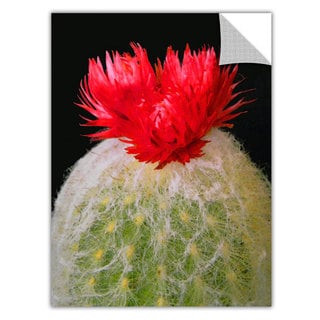 14 by 18-Inch ArtWall Artapeelz Dean Uhlinger Terte Removable Graphic Wall Art