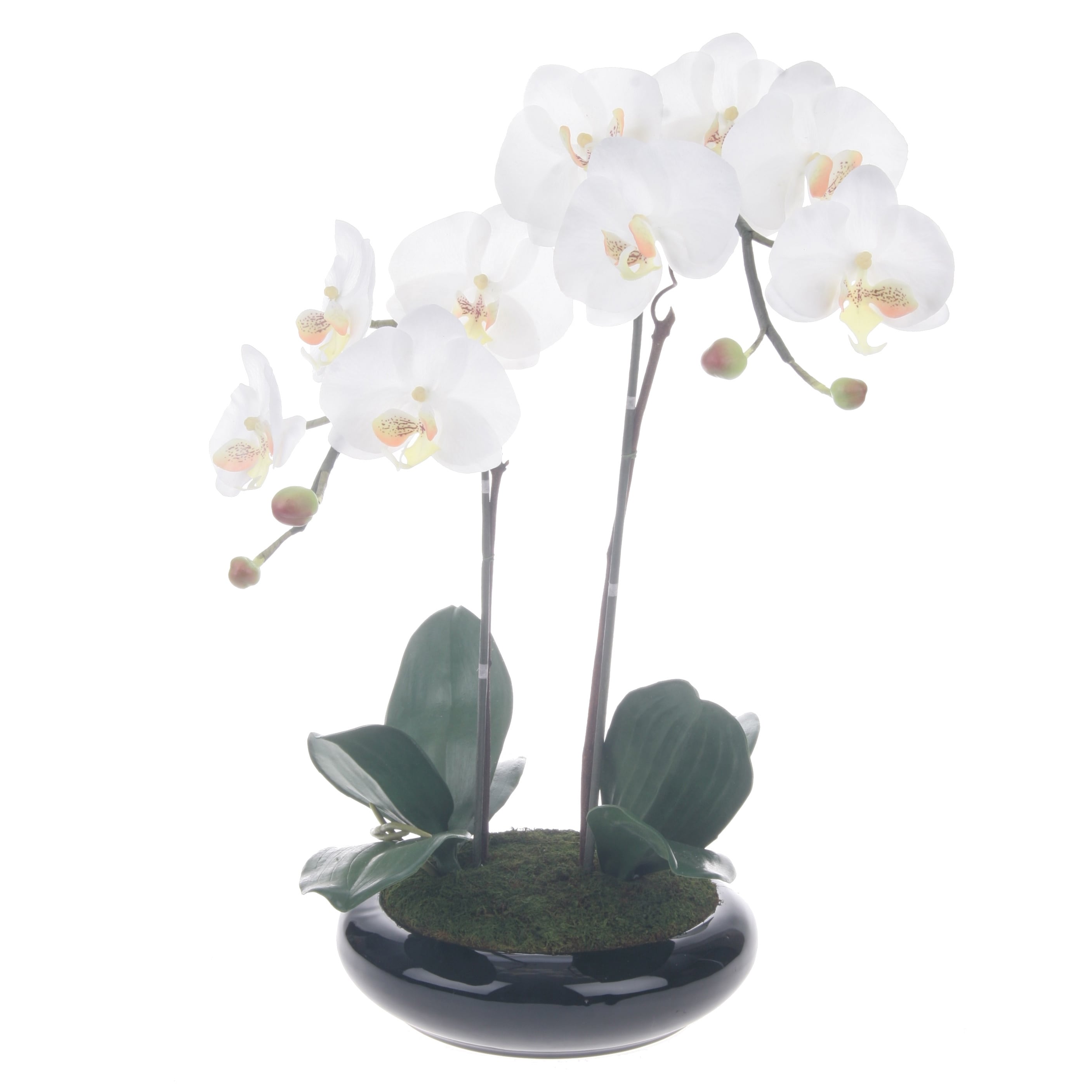 Shop White/ Yellow Artificial Silk Phalaenopsis Orchid Centerpiece with ...