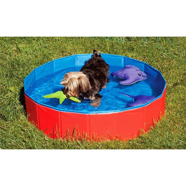 big dogs cone for for   16725517 Ethical Spot Dogs Pool Cool Shopping  Overstock.com