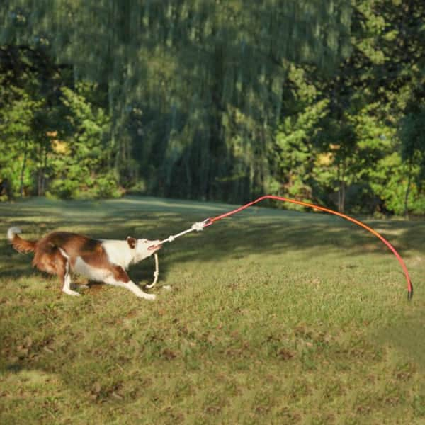 https://ak1.ostkcdn.com/images/products/9547342/Tether-Tug-Outdoor-Dog-Toy-cf461dd6-eca3-483d-aae8-5b6129022f4a_600.jpg?impolicy=medium