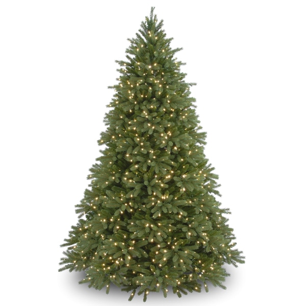 9-foot 'Feel-Real' Jersey Fraser Medium Fir Hinged Tree with 1500 Clear Lights