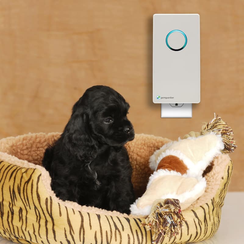 GermGuardian GG1100 Pluggable Small Air Purifier