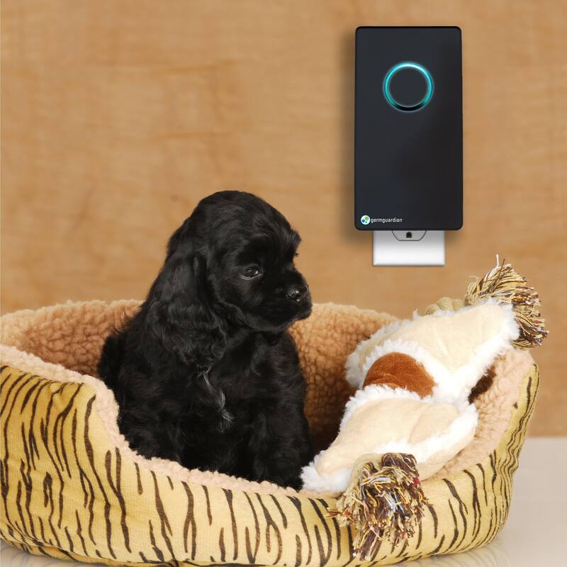 GermGuardian GG1100 Pluggable Small Air Purifier