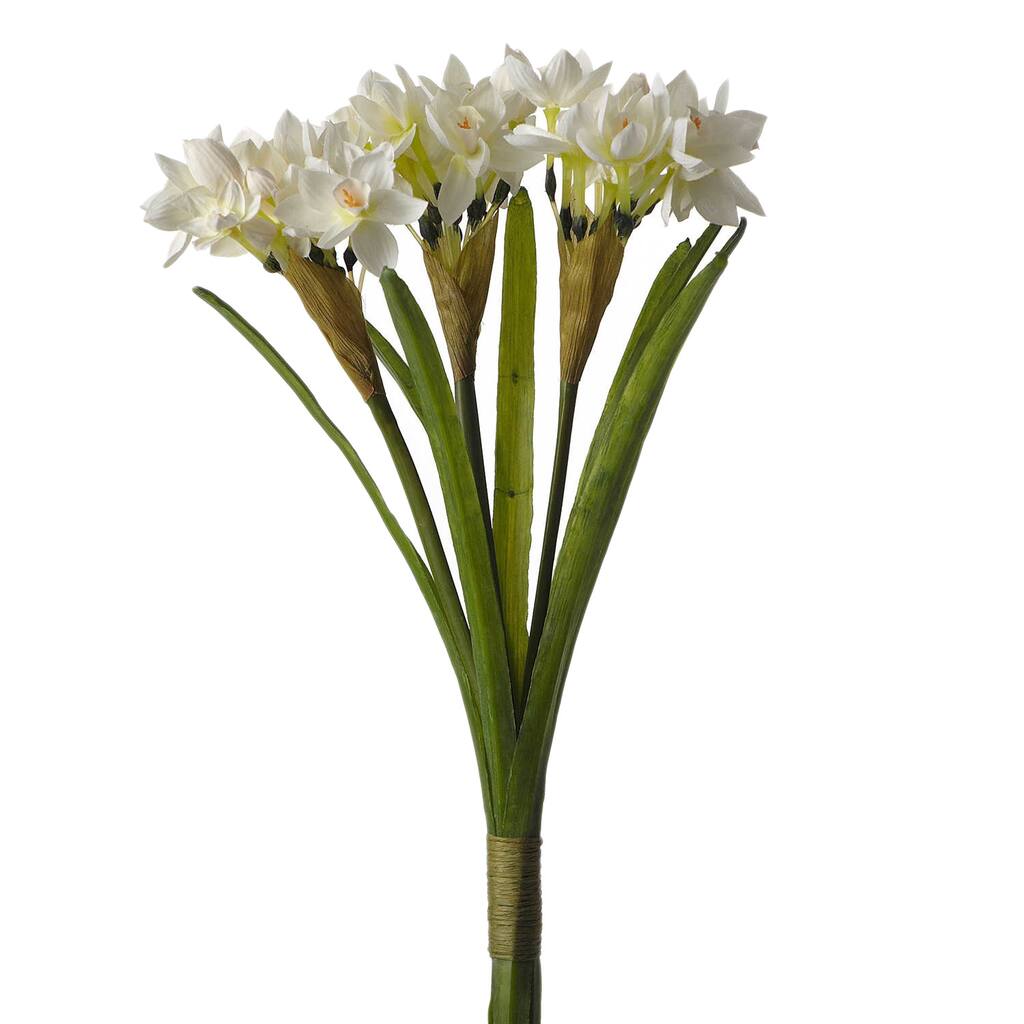 Sage & Co Sage & Co. 15-inch Paper White Stem Bundle (Pack of 6)