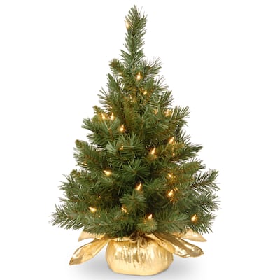 National Tree Company 2 ft.h Majestic Fir Tree in Gold Cloth Bag