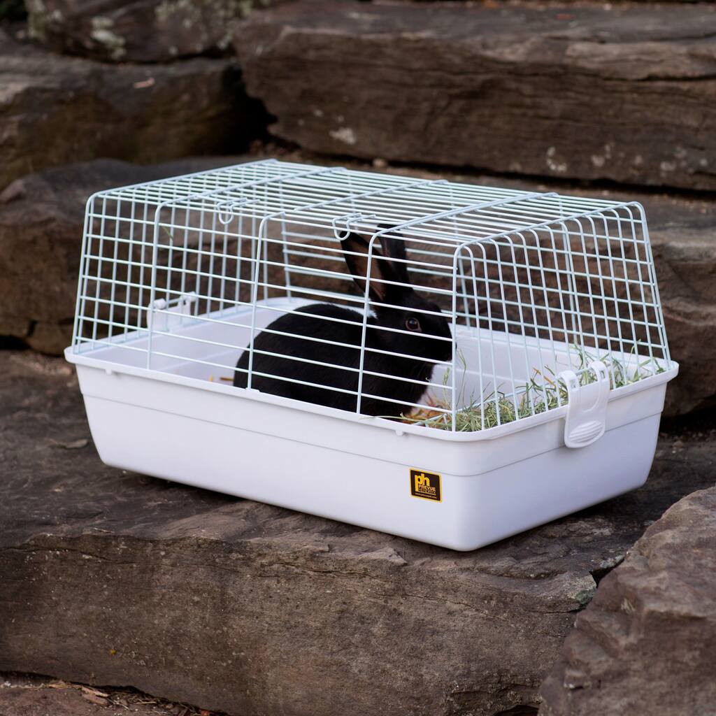 Prevue Pet Products Carina Small Animal Tubby