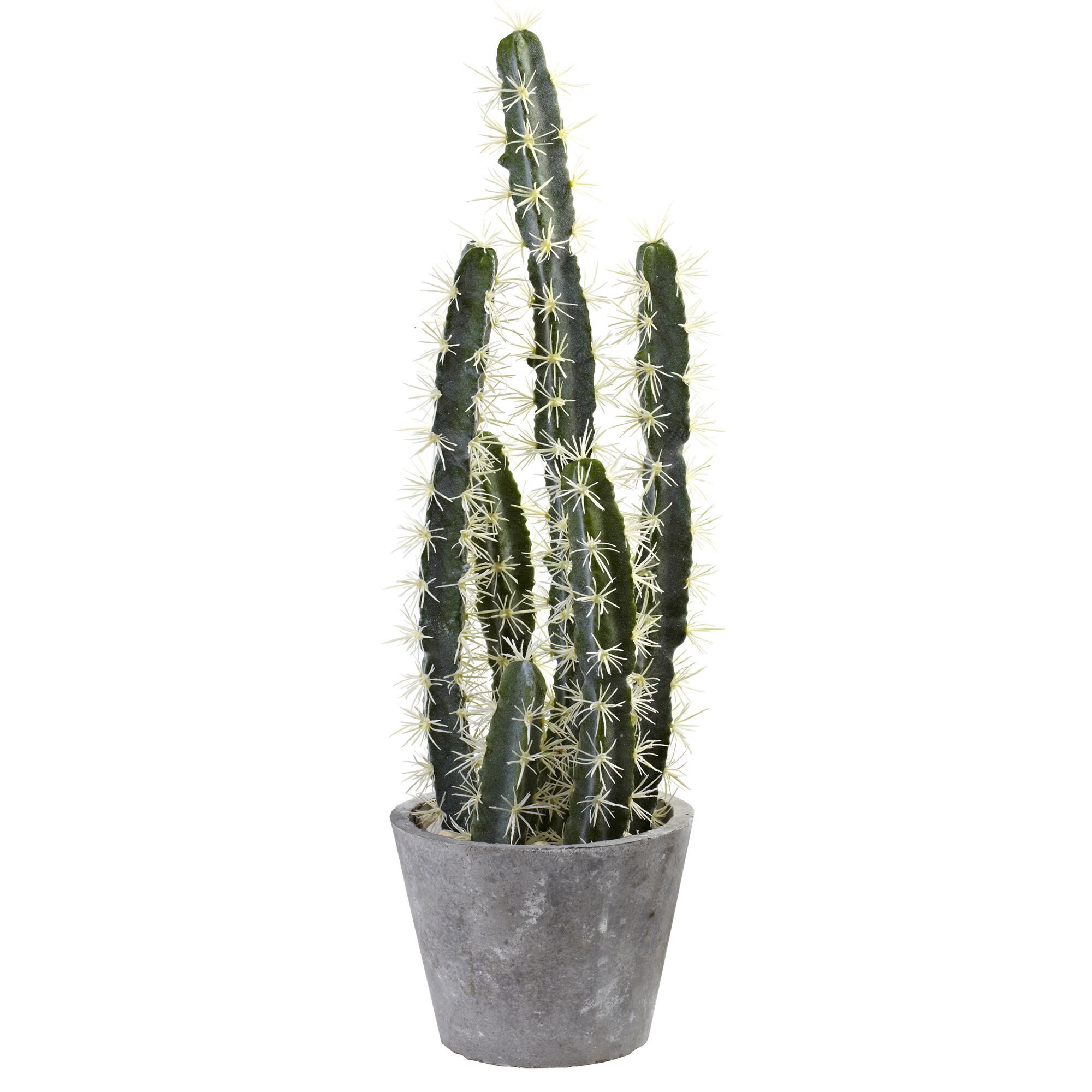 Decorative Cactus Garden with Cement Planter - On Sale - Overstock