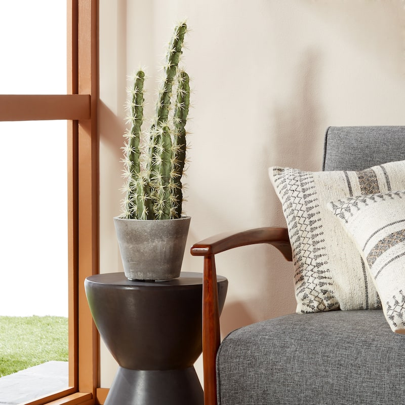 Decorative Cactus Garden with Cement Planter