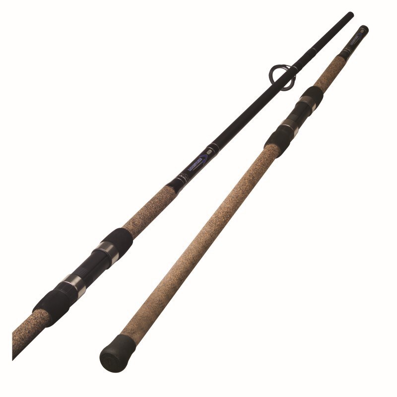 10 foot surf rod