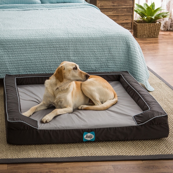 Sealy dog bed extra sales large