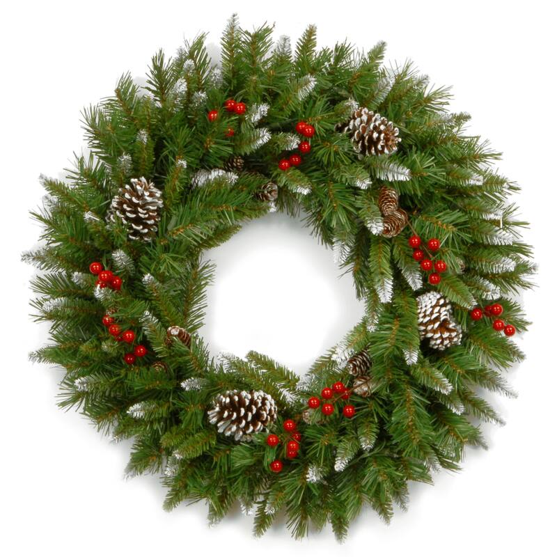 National Tree Company 2 ft. Frosted Berry Wreath - 24", Green
