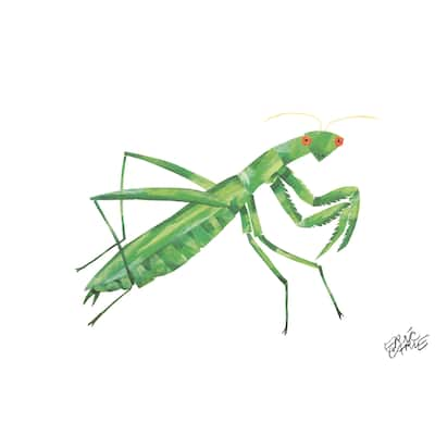 Eric Carle The Very Quiet Cricket Character Art Mantis Canvas Print - Multi-Color