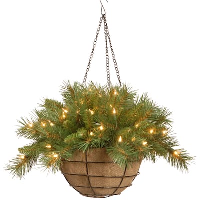 National Tree Company 20 in. Tiffany Fir Holiday Hanging Basket - Green - 20 in