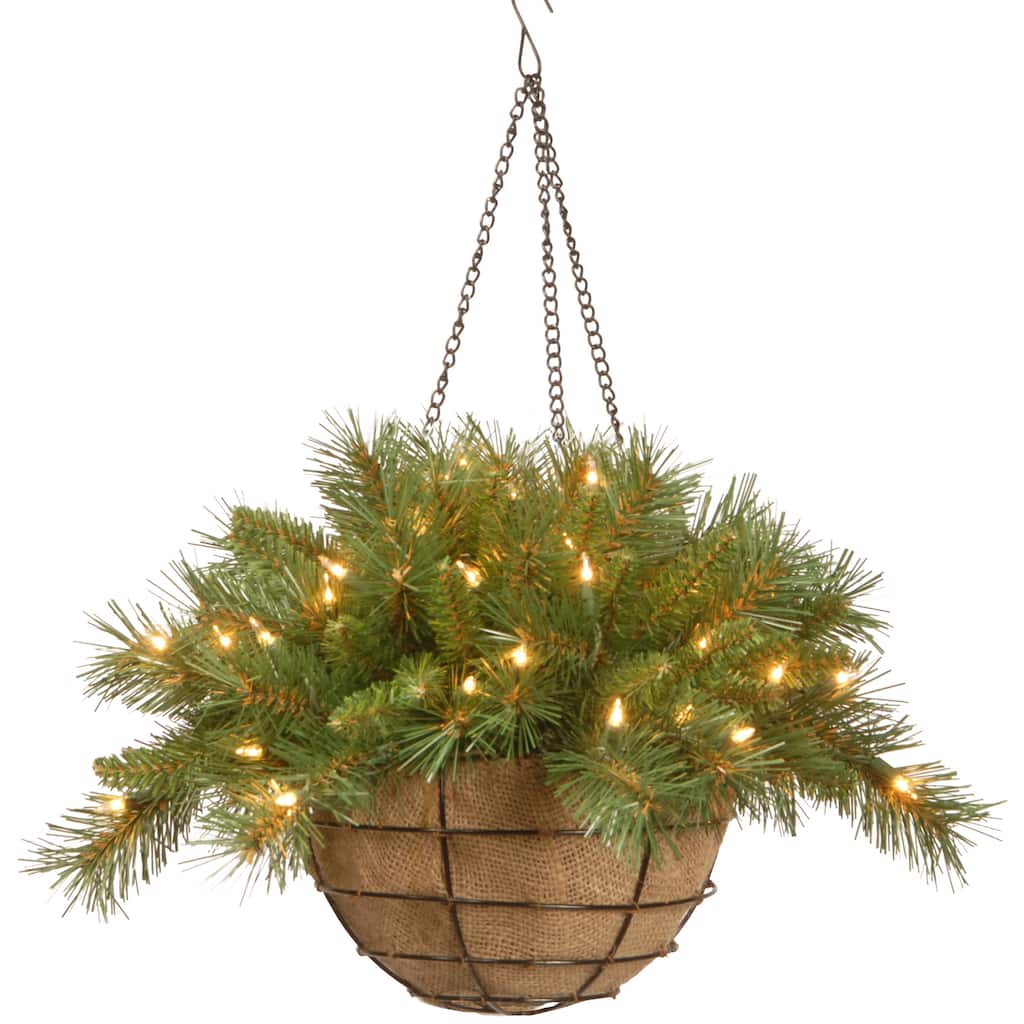 National Tree Company 20 in. Tiffany Fir Holiday Hanging Basket - Green - 20 in