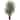 7.5-foot Indoor/ Outdoor Areca Palm - Green
