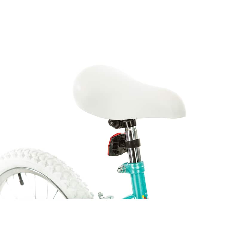 Titan Tomcat Girls Teal Blue 20-Inch BMX Bike
