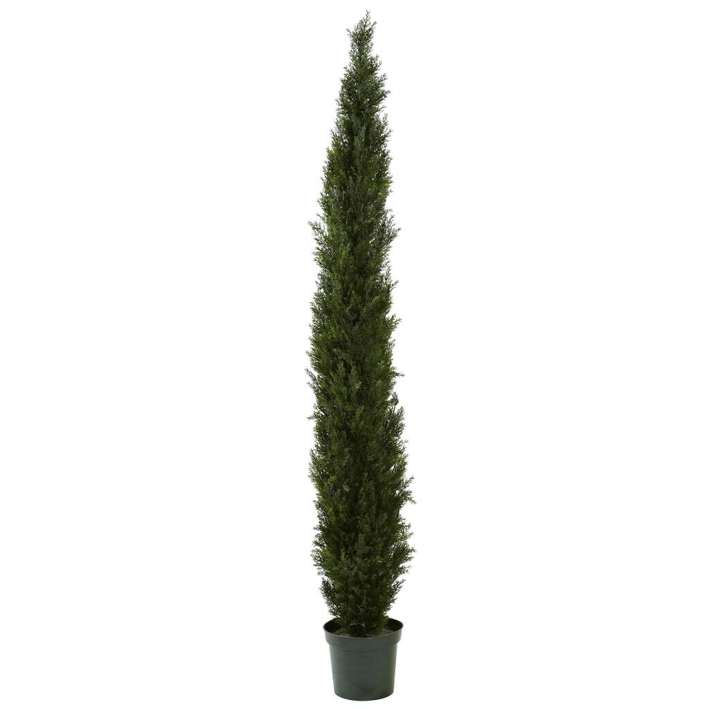 Mini Cedar Pine Tree