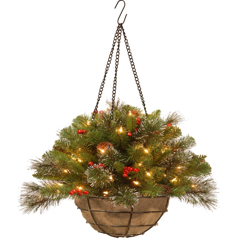 National Tree Company 20 in. Crestwood Spruce Chain Hanging Basket - Green - Green