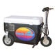 Ride On 1000-watt Cruzin Cooler Scooter - Bed Bath & Beyond - 9648646