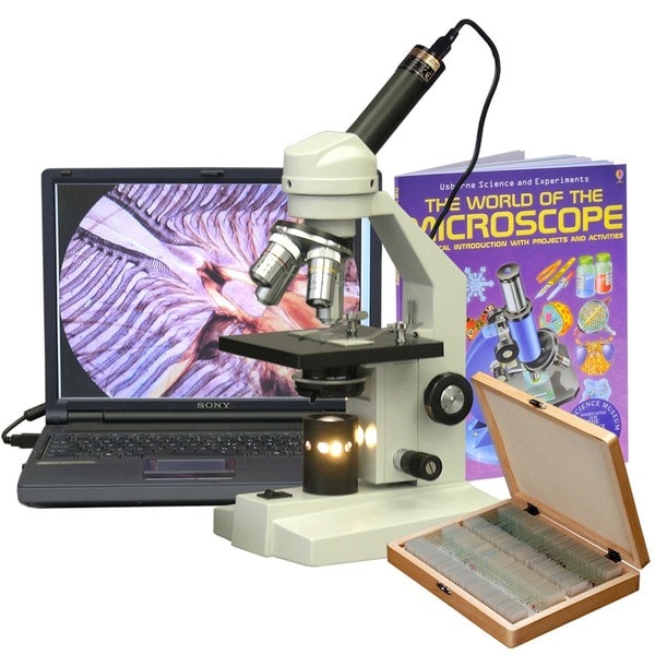 AmScope 40x-2500x Advanced Student Microscope