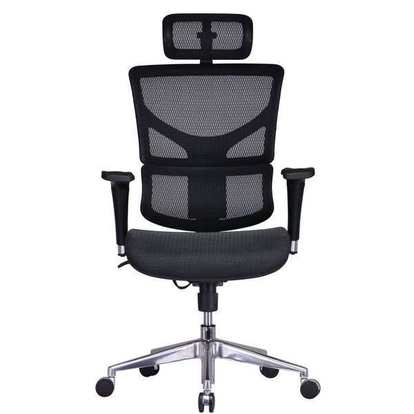 Shop Gm Seating Ergonomic Executive Chair Dream Chair With Chrome
