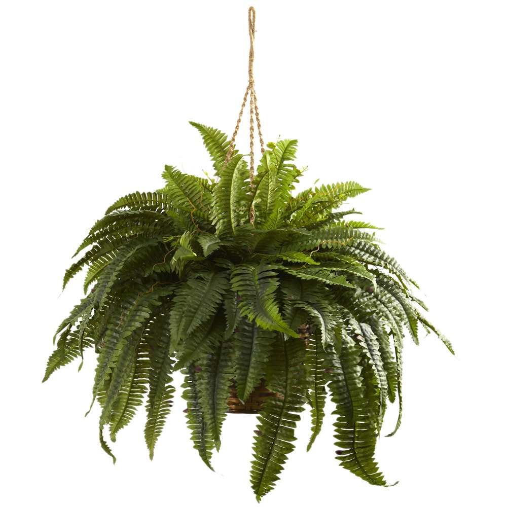 32 Boston Fern, Artificial Ferns